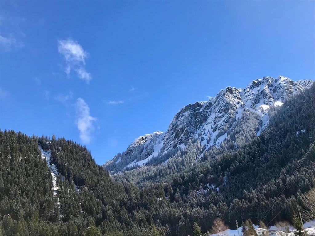Alpinappartements Stoeckl 帕尔特嫩 外观 照片